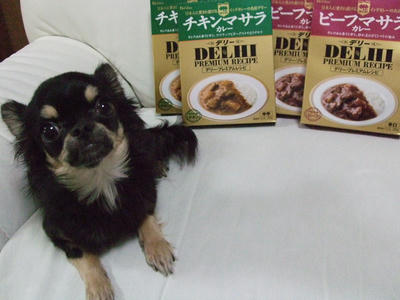 BLOG2008_02020024.JPG