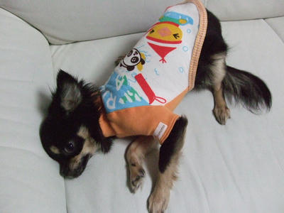BLOG2008_02020025.JPG