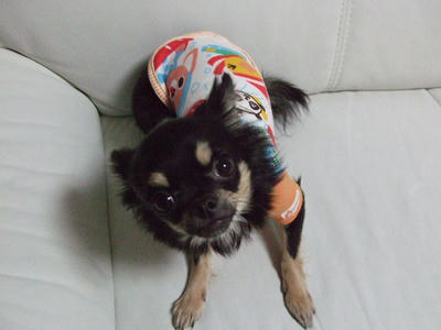 BLOG2008_02020026.JPG