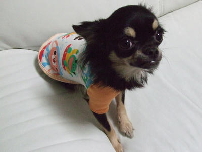 BLOG2008_02020027.JPG