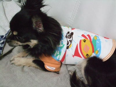 BLOG2008_02030026.JPG
