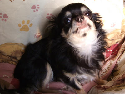 BLOG2008_02070221.JPG