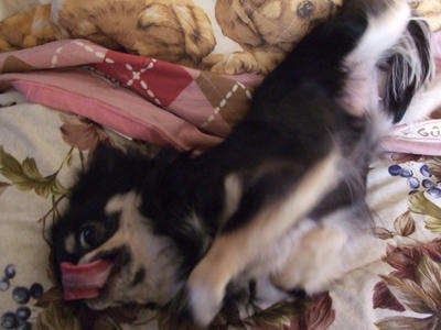 BLOG2008_02070222.JPG
