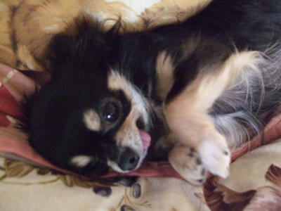 BLOG2008_02070223.JPG
