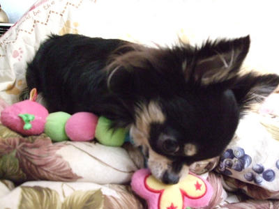 BLOG2008_02070225.JPG