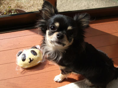 BLOG2008_02080081.JPG