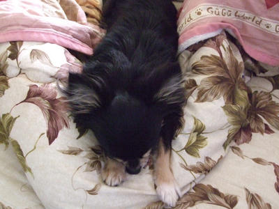 BLOG2008_02080082.JPG