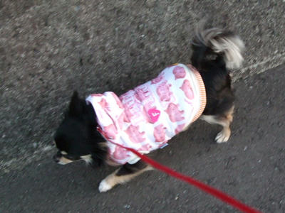 BLOG2008_02080084.JPG