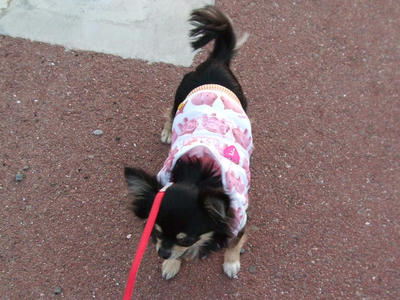 BLOG2008_02080086.JPG
