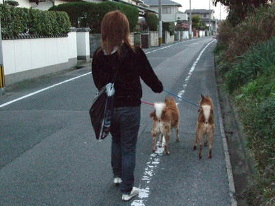 BLOG2008_02080087.JPG