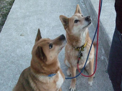 BLOG2008_02080088.JPG