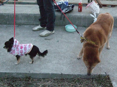 BLOG2008_02080089.JPG