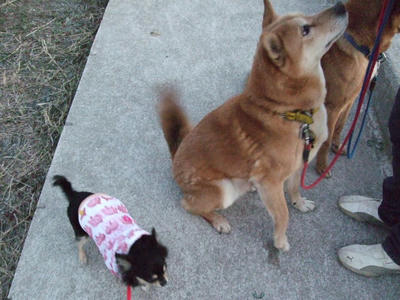 BLOG2008_02080090.JPG