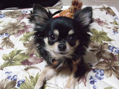 BLOG2008_02080091.JPG
