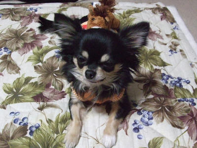 BLOG2008_02080092.JPG