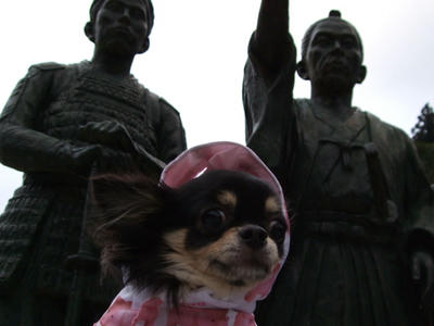 BLOG2008_02090022.JPG