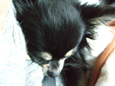 BLOG2008_02090024.JPG