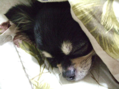 BLOG2008_02100030.JPG