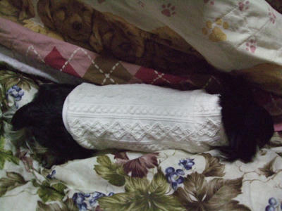 BLOG2008_02100032.JPG