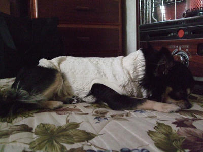 BLOG2008_02110161.JPG