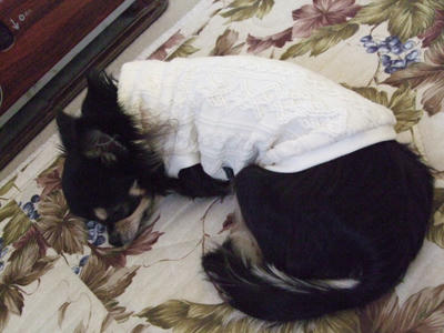 BLOG2008_02110162.JPG