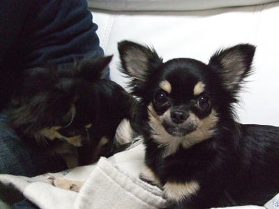 BLOG2008_02110163.JPG