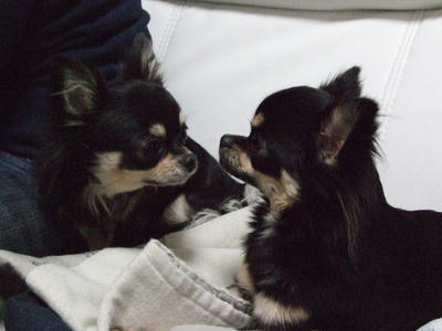 BLOG2008_02110164.JPG