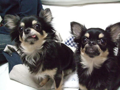BLOG2008_02110165.JPG