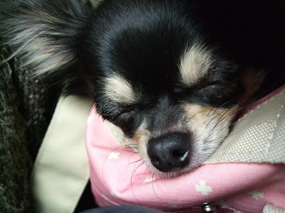 BLOG2008_02110166.JPG