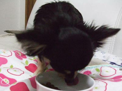 BLOG2008_02120016.JPG