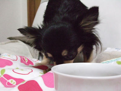 BLOG2008_02120018.JPG