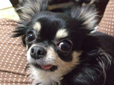 BLOG2008_02140017.JPG