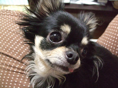 BLOG2008_02140018.JPG