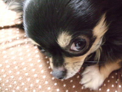 BLOG2008_02140019.JPG