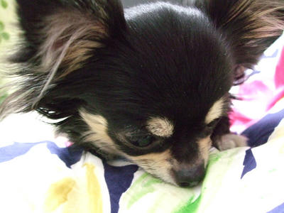 BLOG2008_02160014.JPG