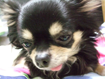 BLOG2008_02160015.JPG