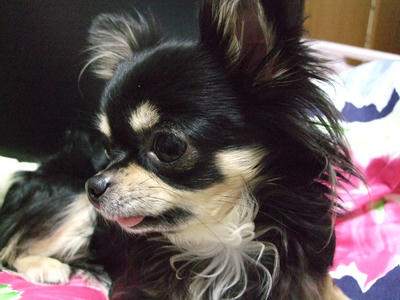 BLOG2008_02160016.JPG