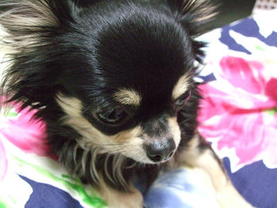 BLOG2008_02160017.JPG