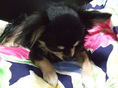BLOG2008_02160018.JPG