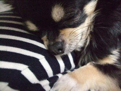 BLOG2008_02180031.JPG