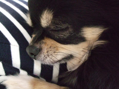 BLOG2008_02180032.JPG