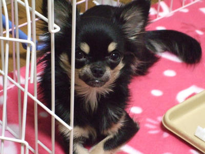 BLOG2008_02180033.JPG