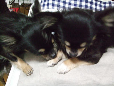 BLOG2008_02180034.JPG