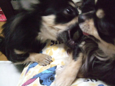 BLOG2008_02180035.JPG