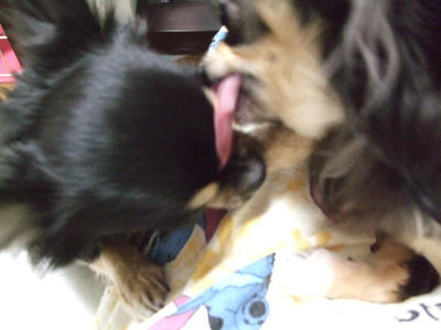 BLOG2008_02180036.JPG