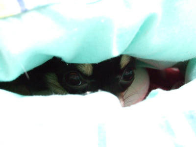 BLOG2008_02180038.JPG