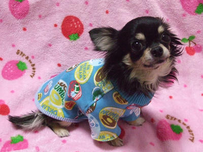 BLOG2008_02190009.JPG