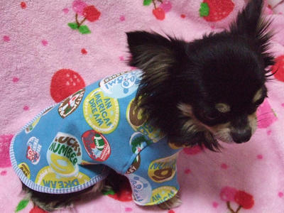 BLOG2008_02190010.JPG