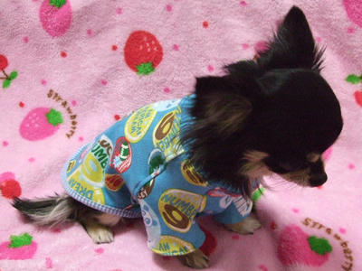 BLOG2008_02190011.JPG