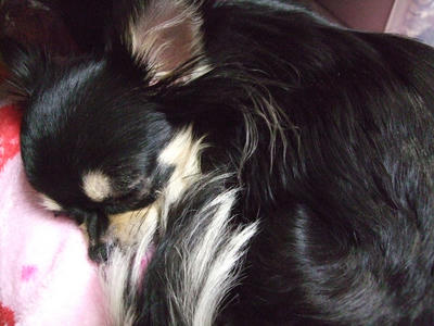 BLOG2008_02200012.JPG